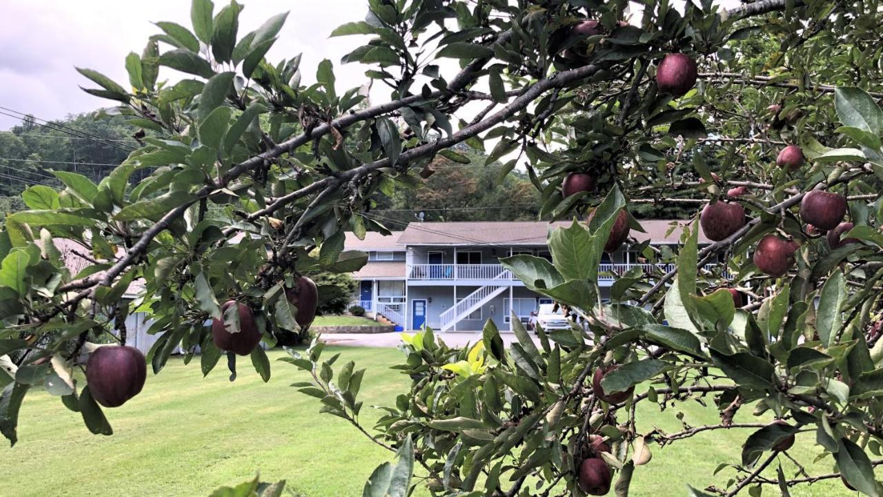 Meadowlark Motel With Restaurant & Bar Maggie Valley Ngoại thất bức ảnh